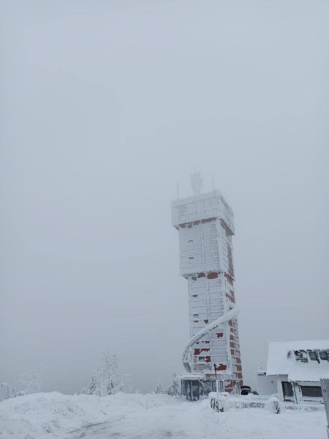Walpurgis Hexe Apartment Braunlage Exterior photo